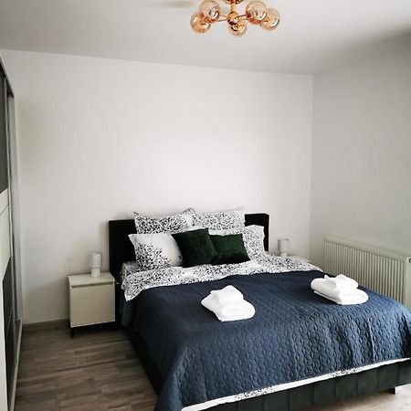 Teo Apartment ブラショフ エクステリア 写真